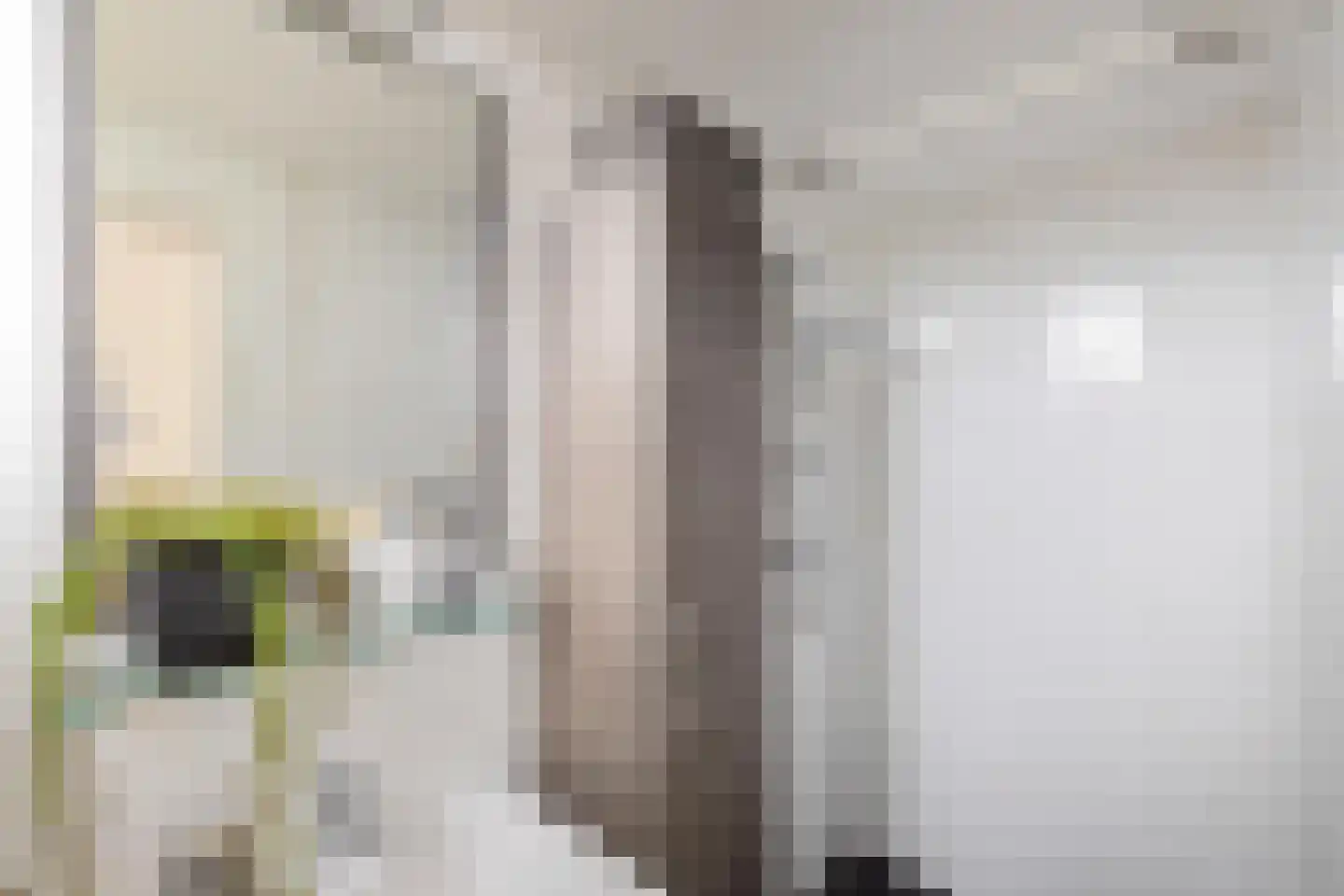 Kamerlingh Onnesstraat 123 Groningen thumbnail 5