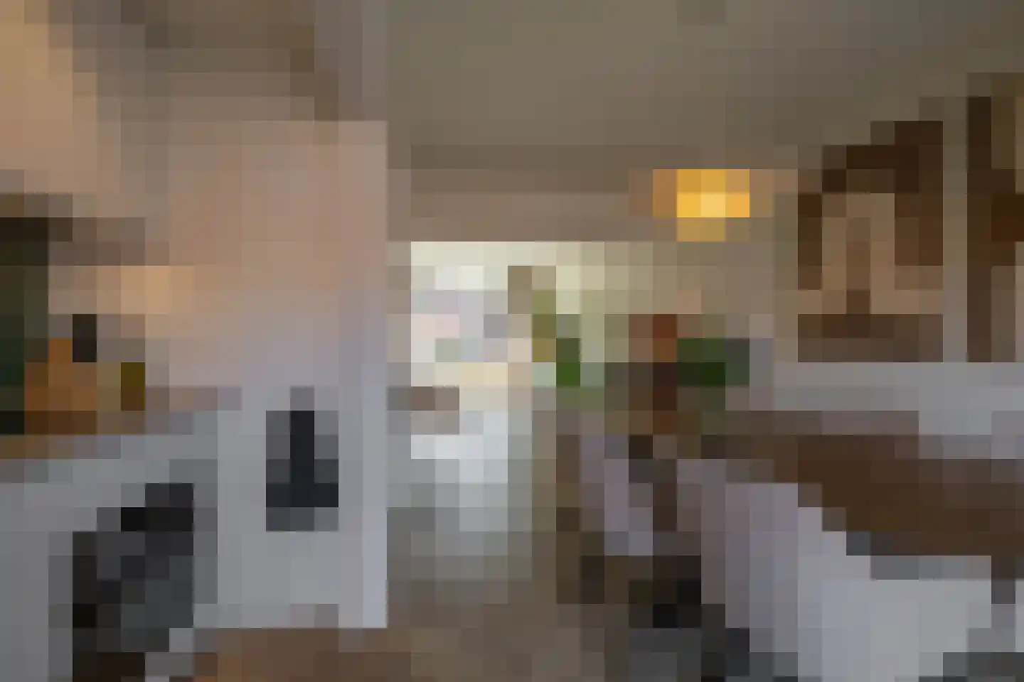 Kamerlingh Onnesstraat 124 Groningen thumbnail 17