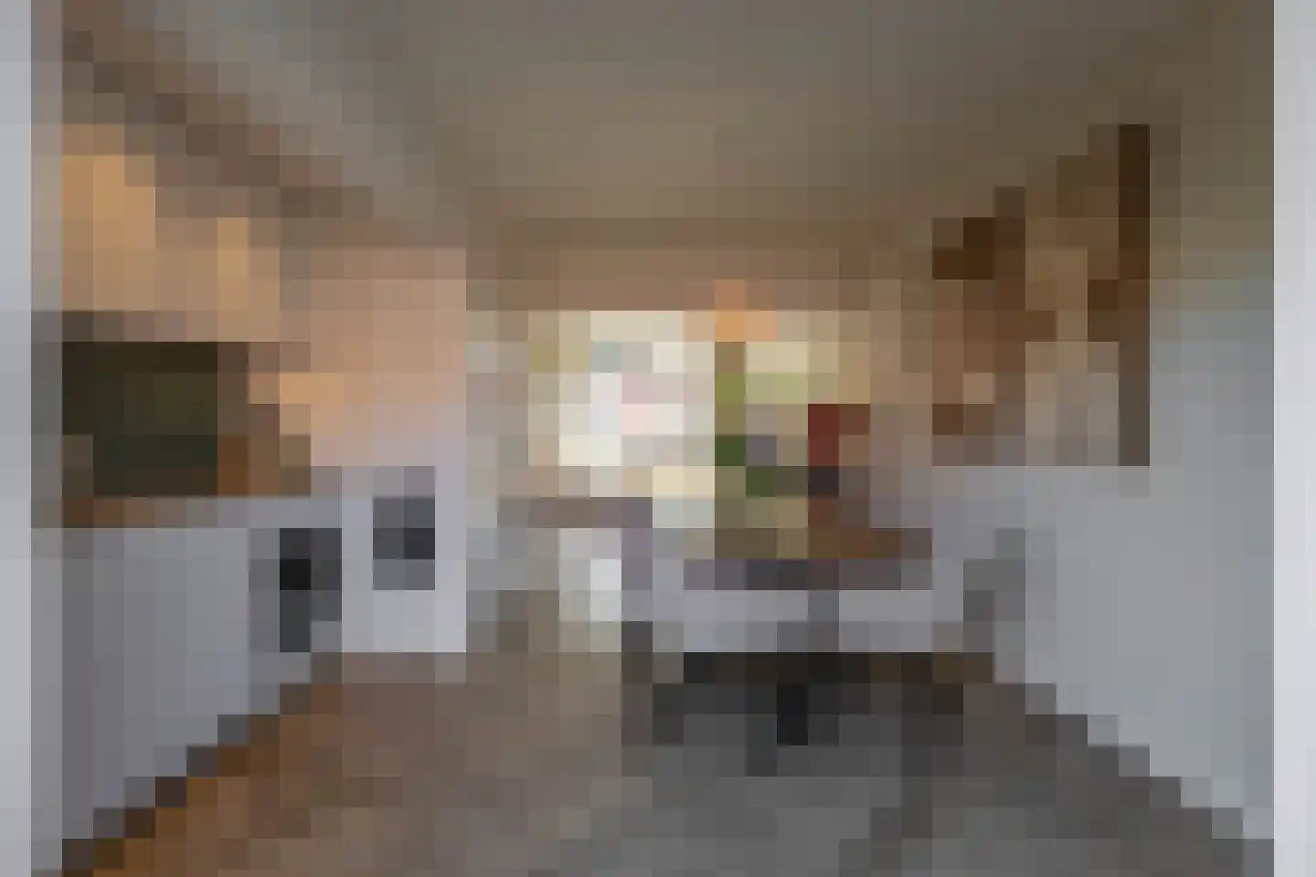 Kamerlingh Onnesstraat 124 Groningen thumbnail 4