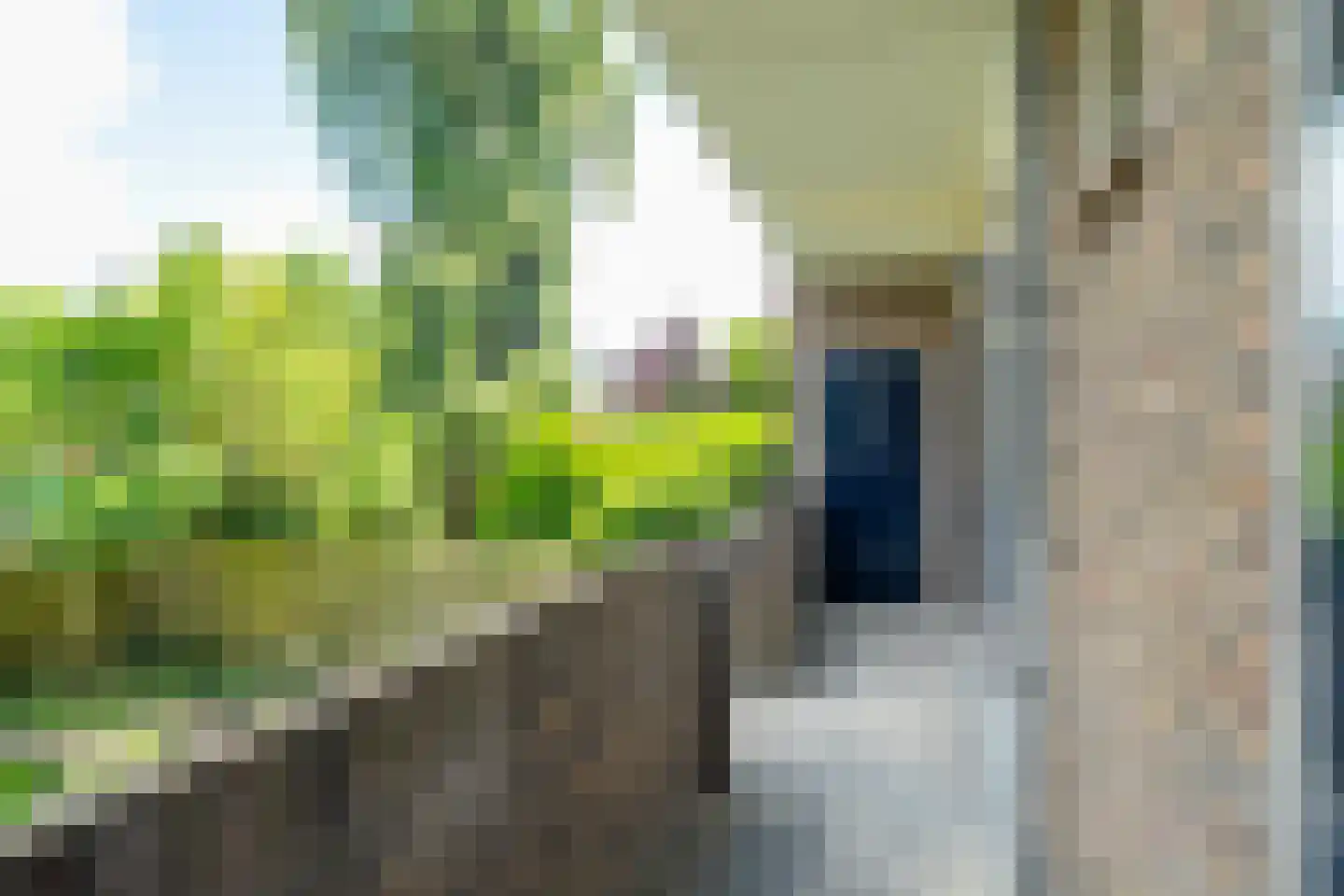 Kamerlingh Onnesstraat 136 Groningen thumbnail 51
