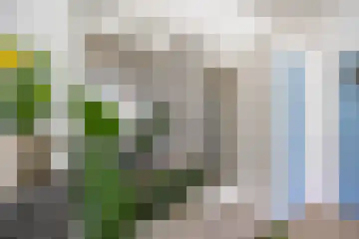 Kamerlingh Onnesstraat 14 Groningen thumbnail 12