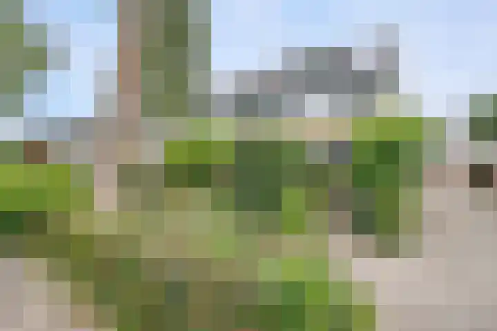 Kamerlingh Onnesstraat 17 Nieuwerkerk aan den IJssel thumbnail 39