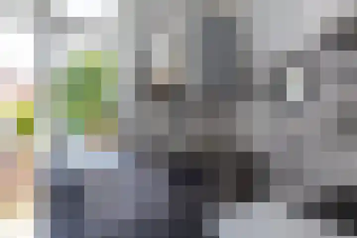 Kamerlingh Onnesstraat 2 Groningen thumbnail 12