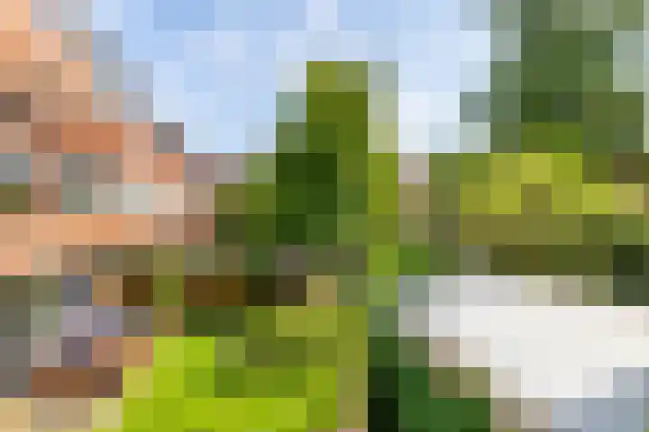 Kamerlingh Onnesstraat 2 Groningen thumbnail 15