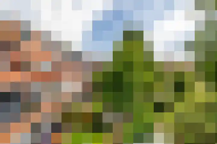 Kamerlingh Onnesstraat 2 Groningen thumbnail 28