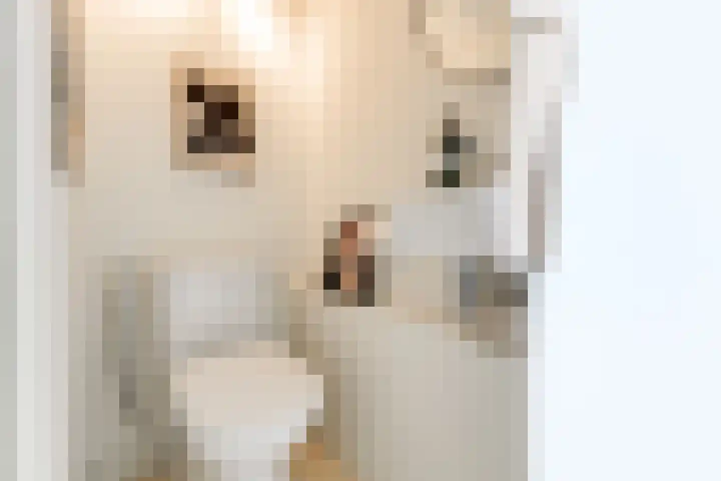 Kamerlingh Onnesstraat 2 Reeuwijk thumbnail 9