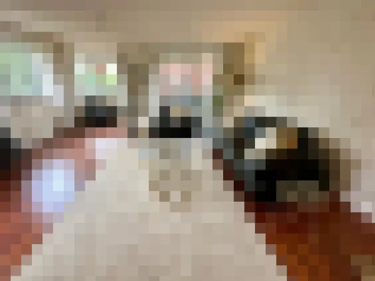 Kamerlingh Onnesstraat 30 Amstelveen thumbnail 5