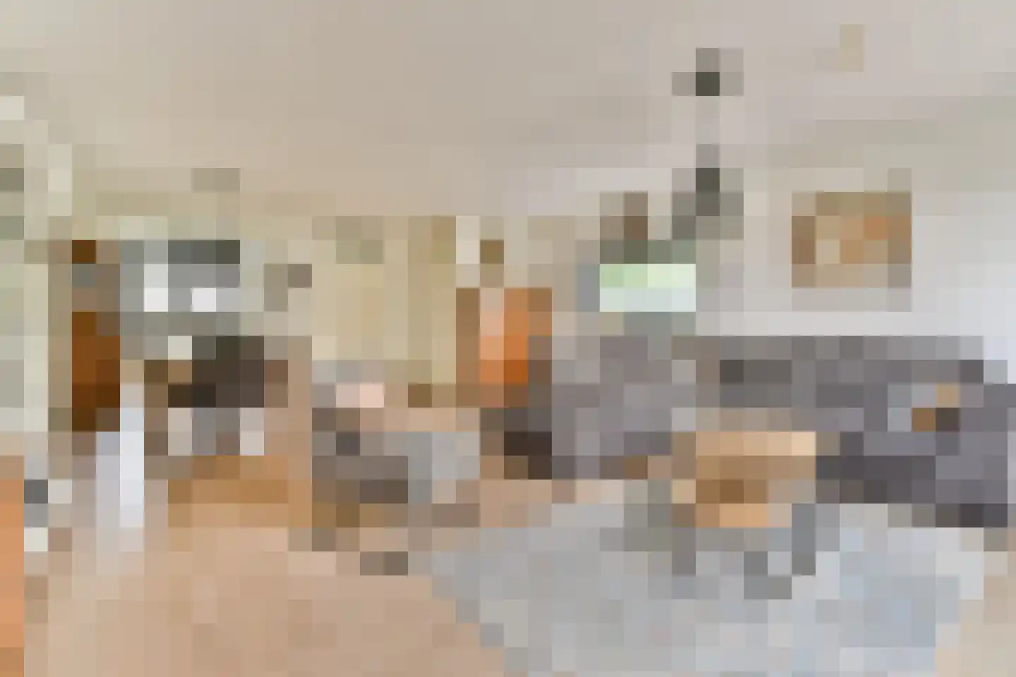 Kamerlingh Onnesstraat 34 Vlaardingen thumbnail 7