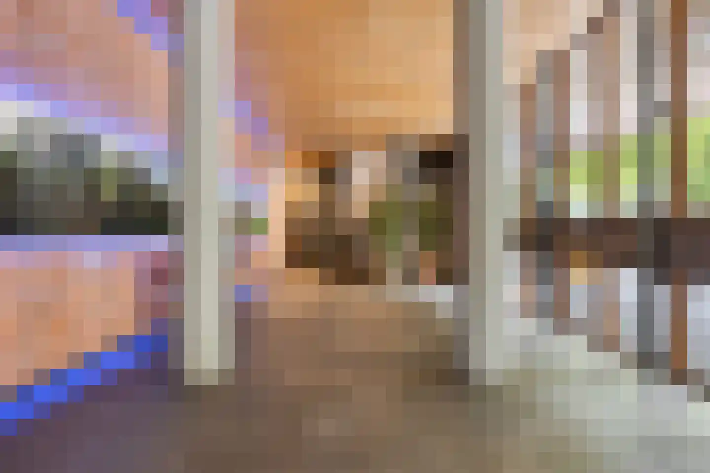 Kamerlingh Onnesstraat 36 Amstelveen thumbnail 39