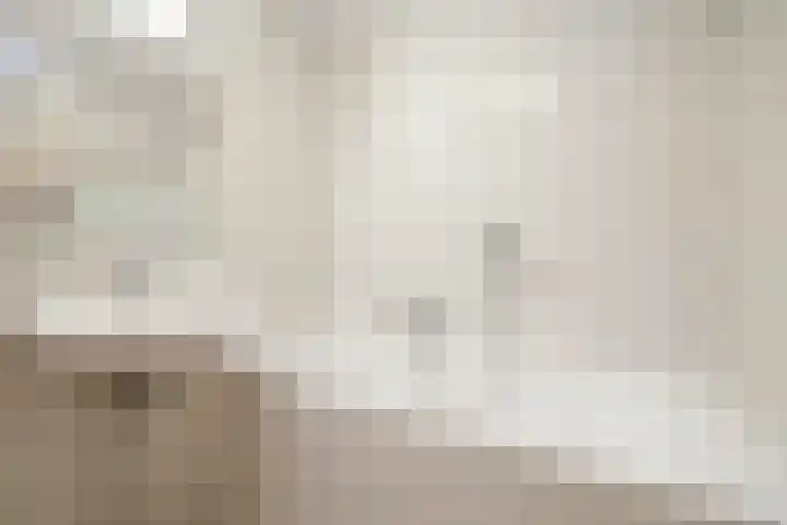 Kamerlingh Onnesstraat 37 Amstelveen thumbnail 34