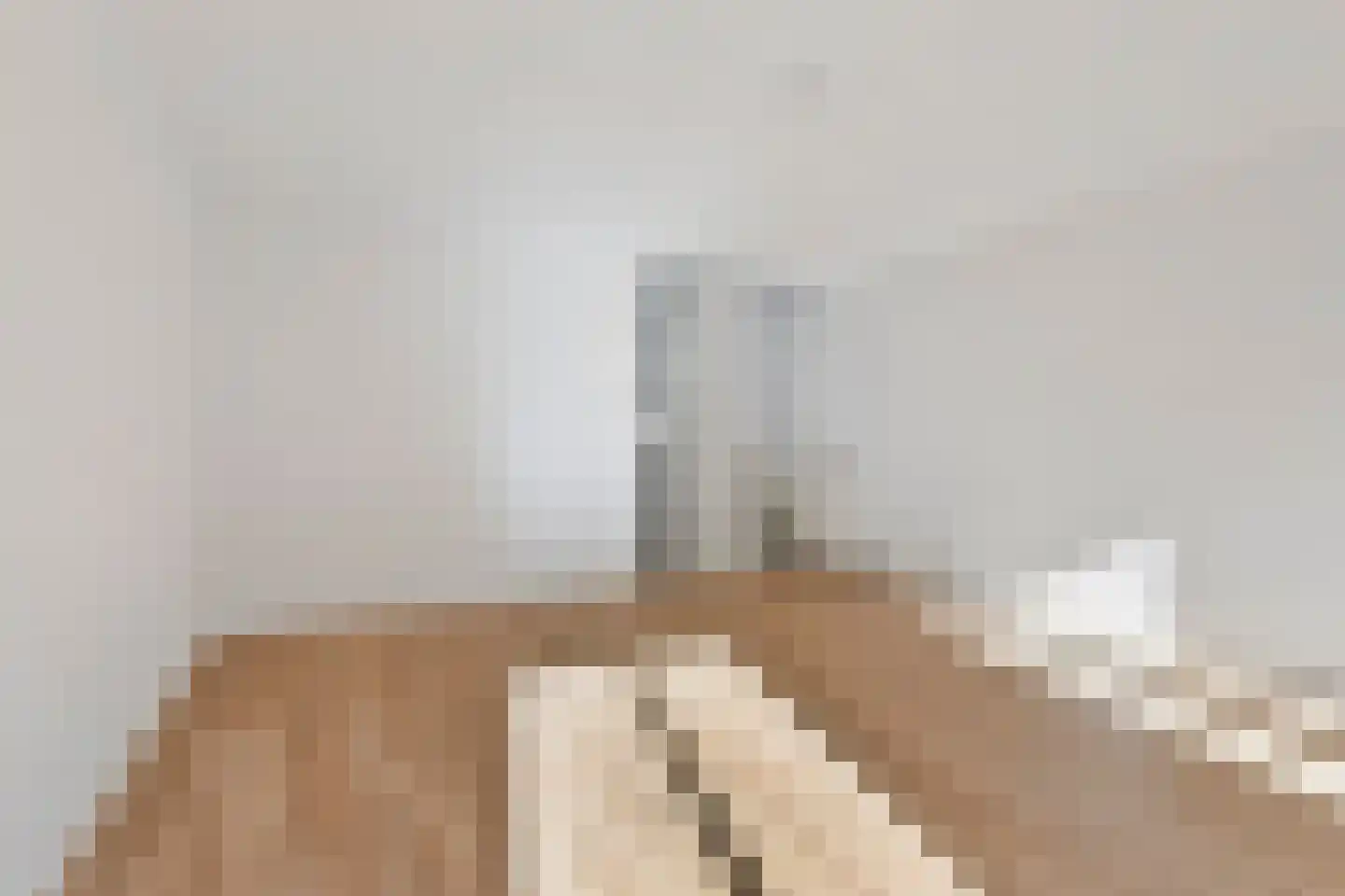 Kamerlingh Onnesstraat 4 A 's-Hertogenbosch thumbnail 8