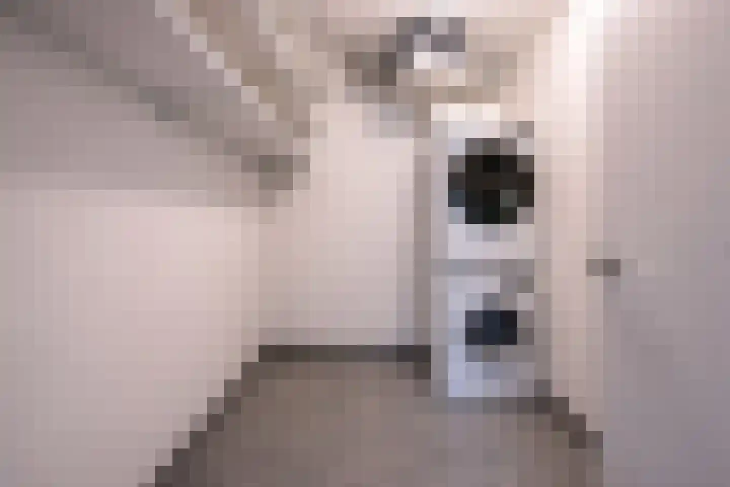 Kamerlingh Onnesstraat 42 Amstelveen thumbnail 38