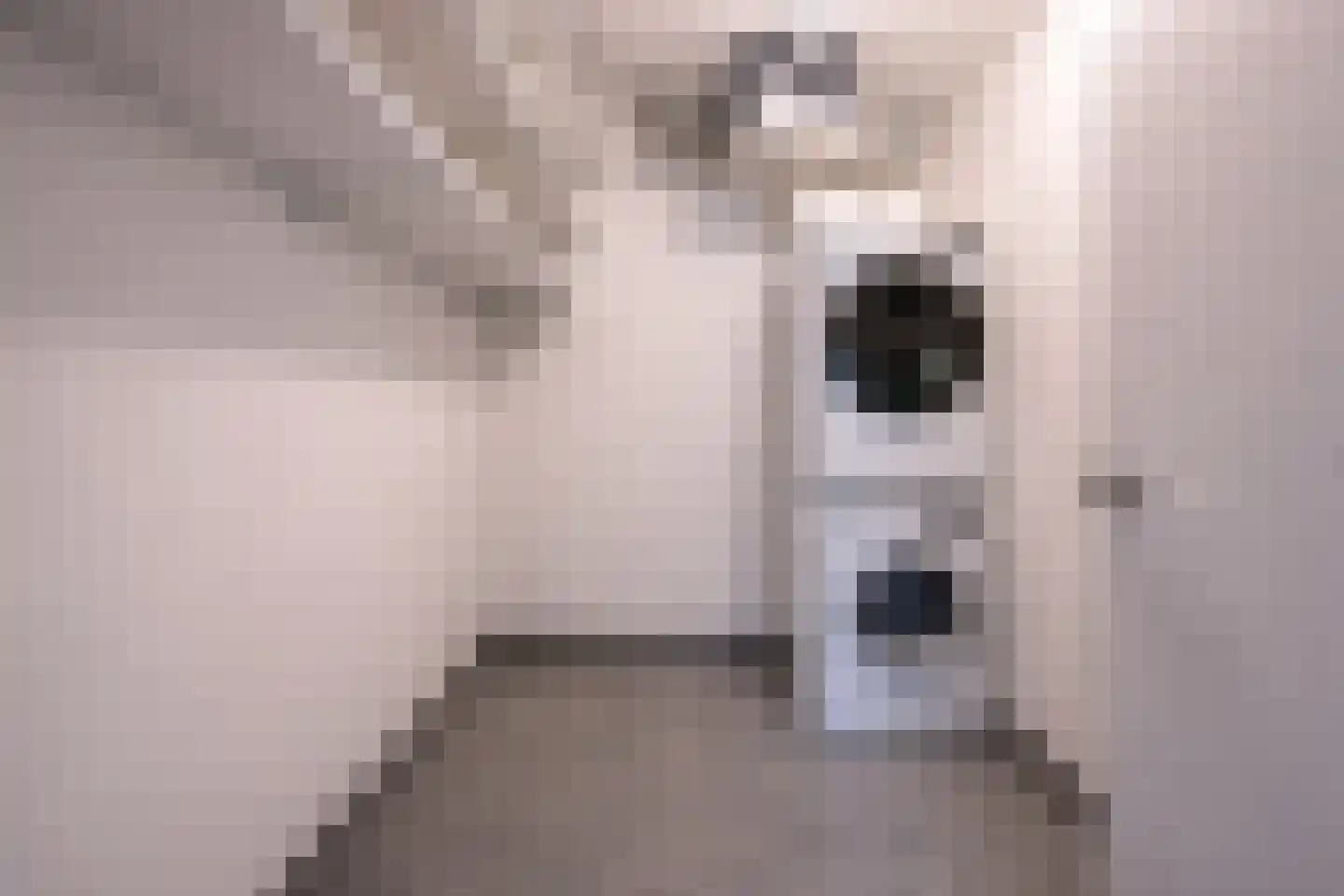 Kamerlingh Onnesstraat 42 Amstelveen thumbnail 38
