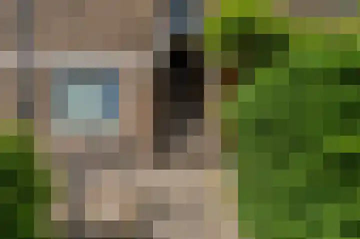 Kamerlingh Onnesstraat 43 Groningen thumbnail 7