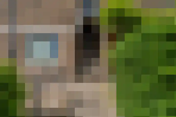 Kamerlingh Onnesstraat 45 Groningen thumbnail 8
