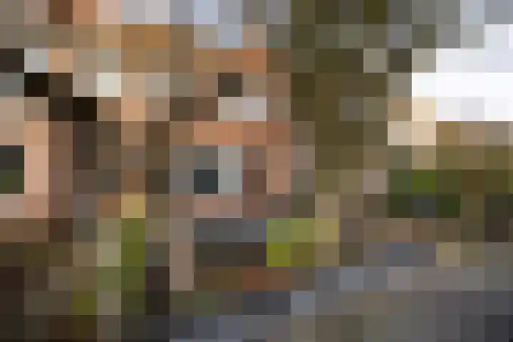 Kamerlingh Onnesstraat 52 Haarlem thumbnail 26