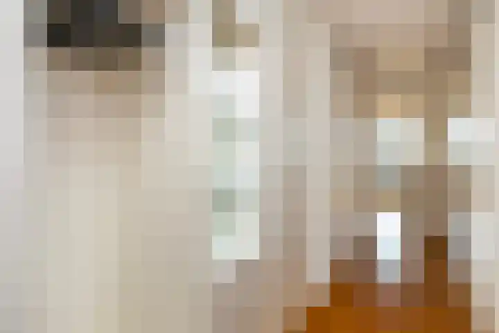Kamerlingh Onnesstraat 53 Amersfoort thumbnail 7