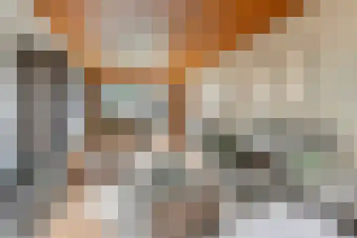 Kamerlingh Onnesstraat 54 Apeldoorn thumbnail 8