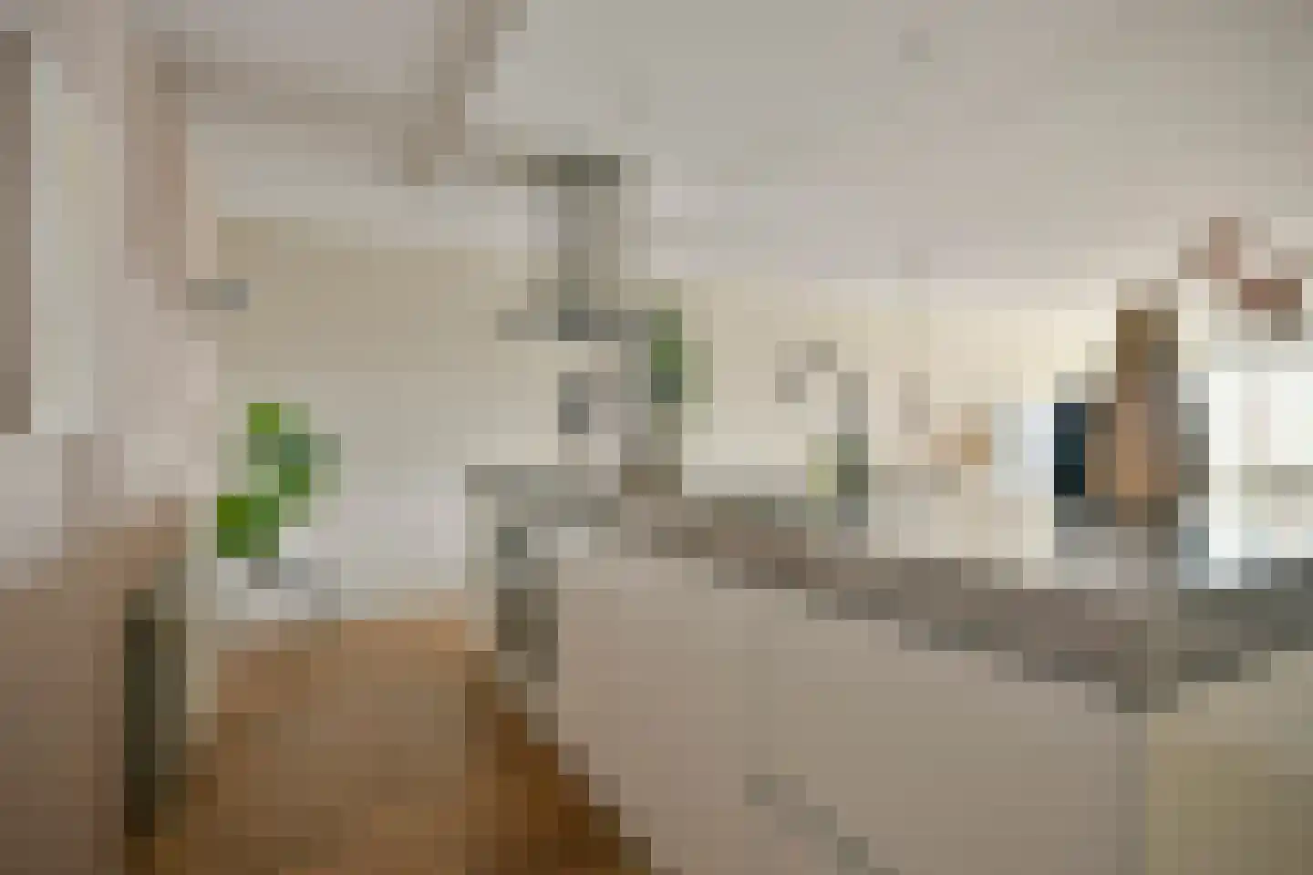 Kamerlingh Onnesstraat 57 Amstelveen thumbnail 13