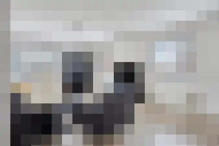 Kamerlingh Onnesstraat 59 Amstelveen thumbnail 4