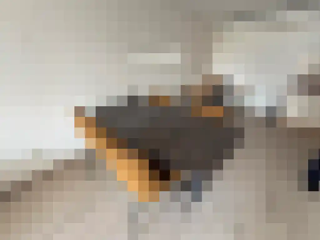 Kamerlingh Onnesstraat 61 Amstelveen thumbnail 4