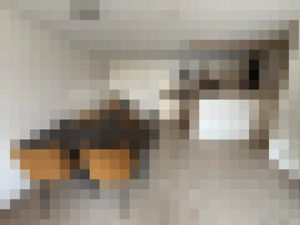 Kamerlingh Onnesstraat 61 Amstelveen thumbnail 5