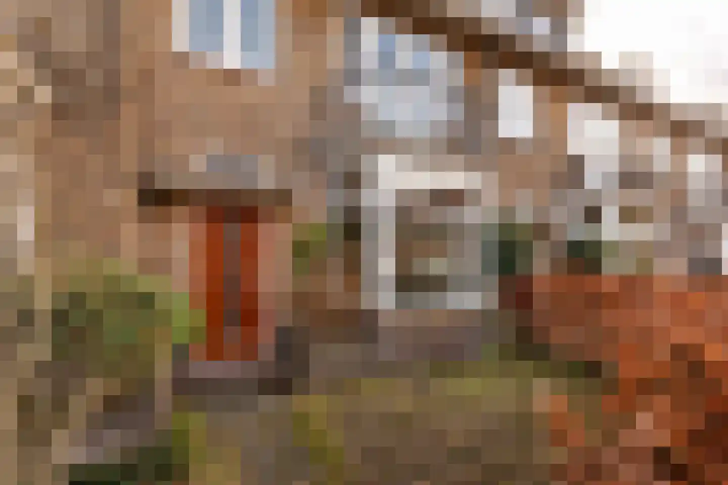 Kamerlingh Onnesstraat 63 Haarlem thumbnail 27
