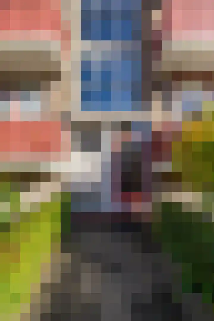 Kamerlingh Onnesstraat 72 Groningen thumbnail 7