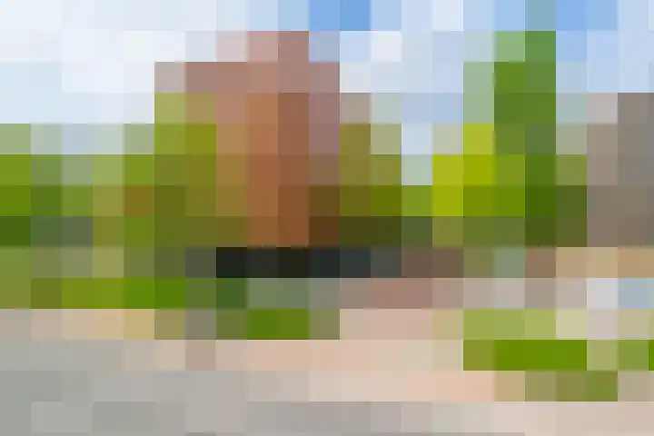 Kamerlingh Onnesstraat 79 Amstelveen thumbnail 32