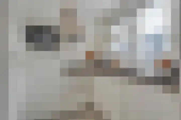 Kamerlingh Onnesstraat 8 Groningen thumbnail 14