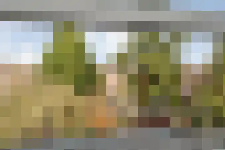 Kamerlingh Onnesstraat 8 Groningen thumbnail 36