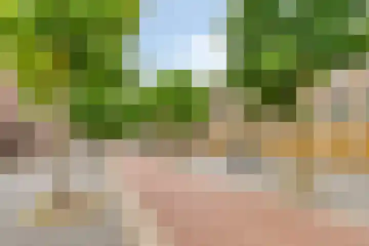 Kamerlingh Onnesstraat 8 's-Hertogenbosch thumbnail 21