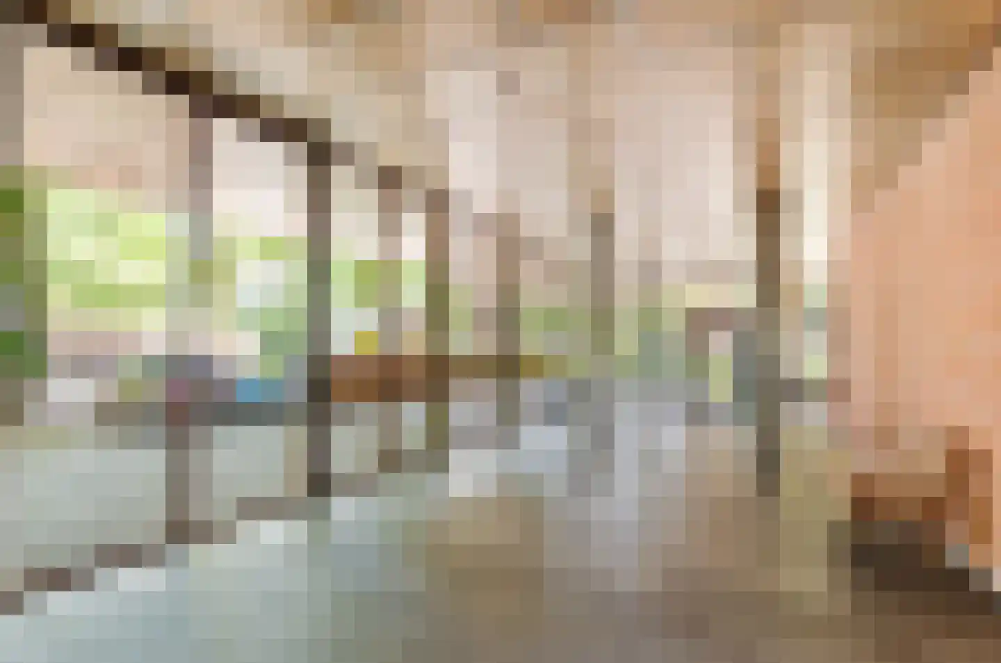 Kamerlingh Onnesstraat 83 Amstelveen thumbnail 46