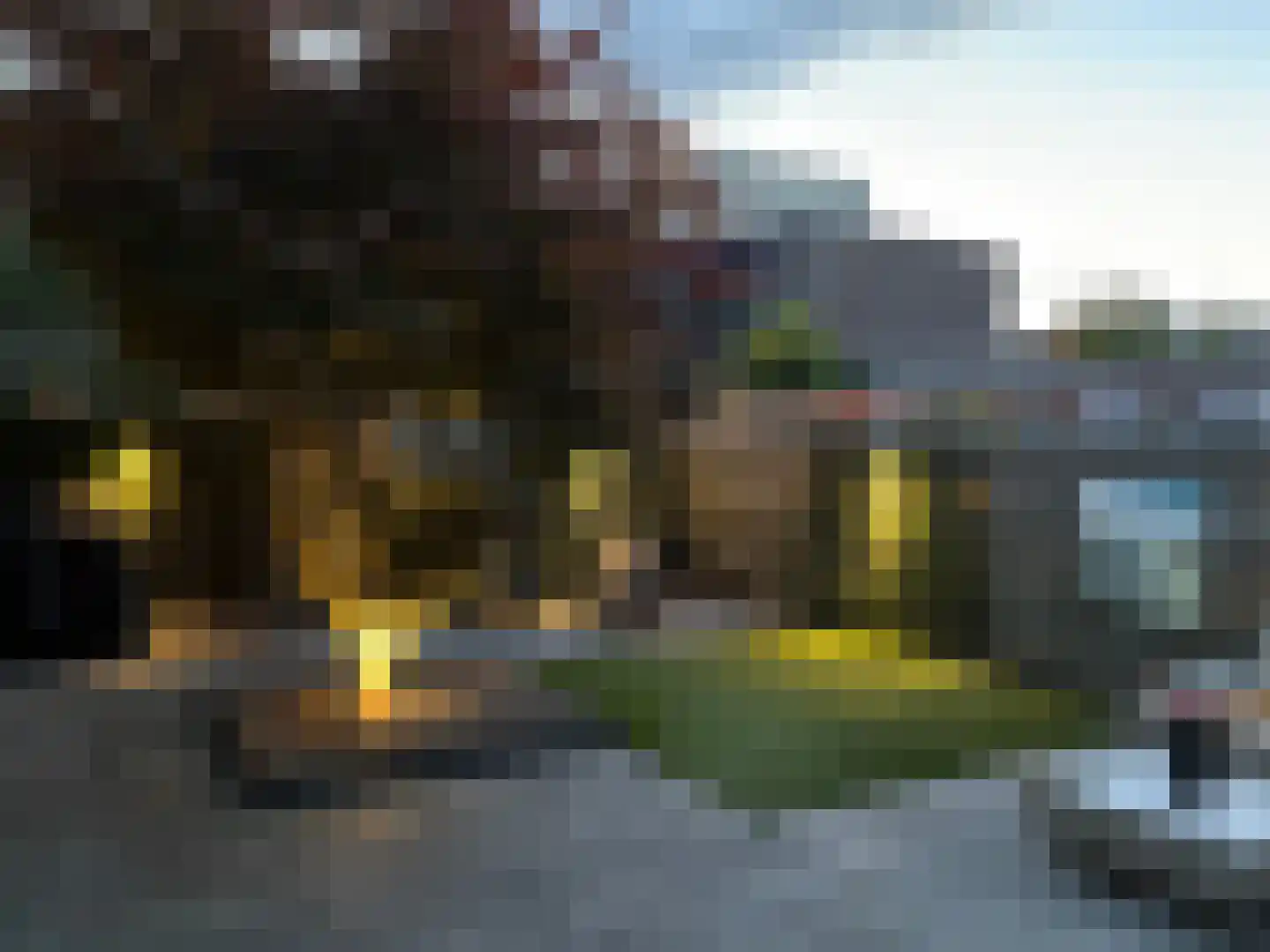 Kamerlingh Onnesstraat 84 Ridderkerk thumbnail 46
