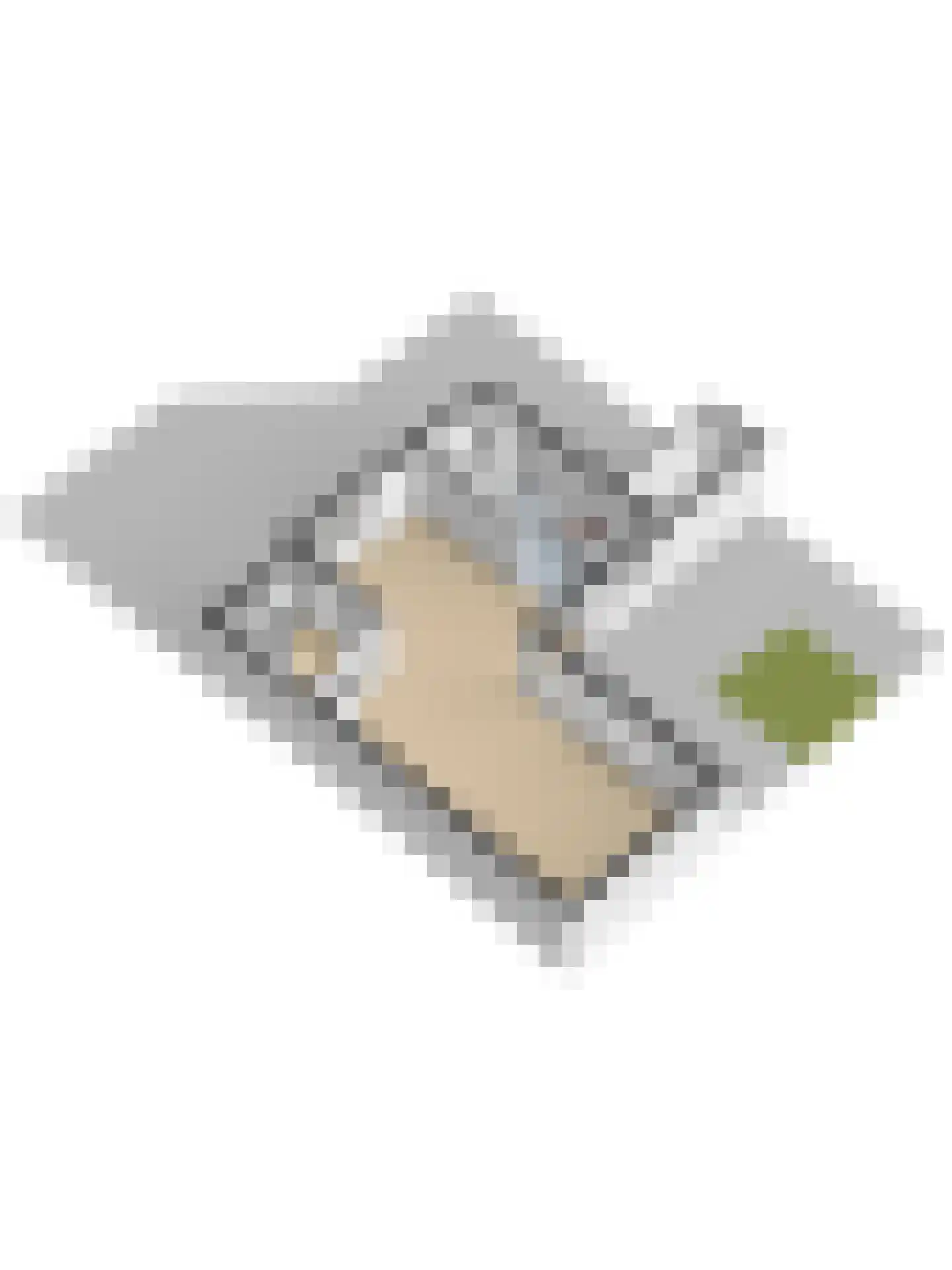 Kamerlingh Onnesstraat 84 Ridderkerk thumbnail 60