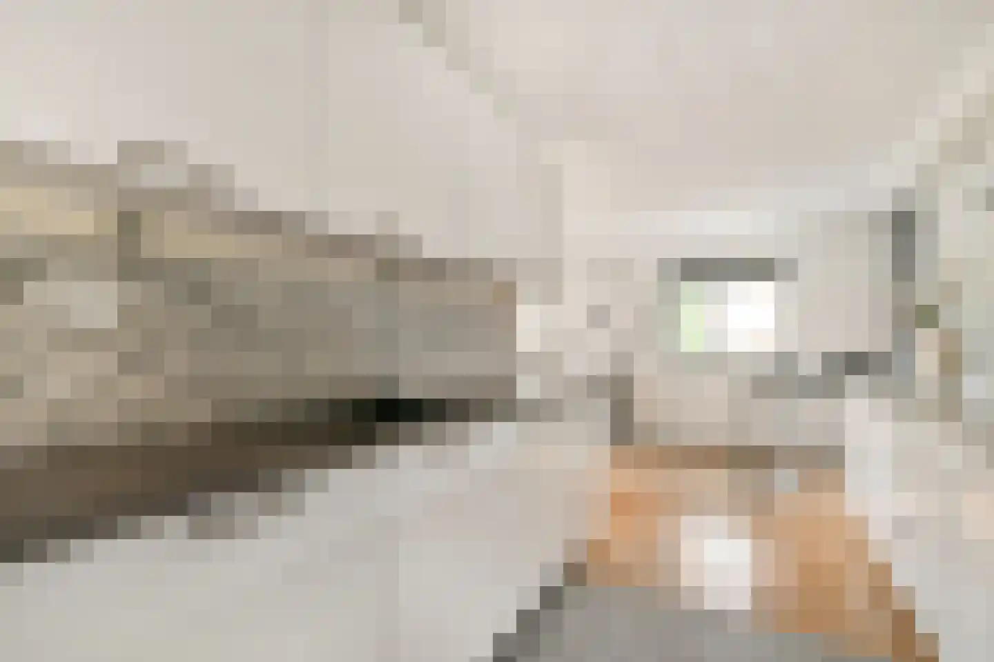 Kamerlingh Onnesstraat 86 Amstelveen thumbnail 10