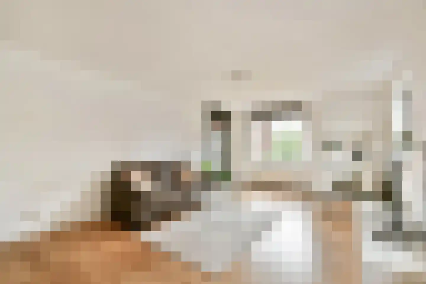 Kamerlingh Onnesstraat 86 Amstelveen thumbnail 5