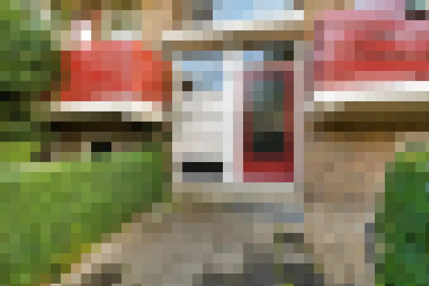 Kamerlingh Onnesstraat 88 Groningen thumbnail 7