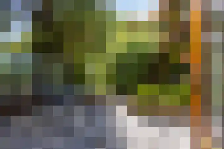 Kamerlingh Onnesstraat 9 Terneuzen thumbnail 30