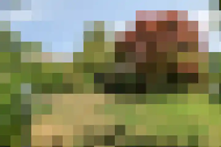 Kamerlingh Onnesstraat 9 Terneuzen thumbnail 35
