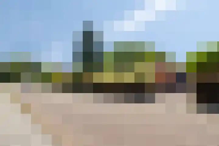 Kamerlingh Onnesstraat 9 Terneuzen thumbnail 36