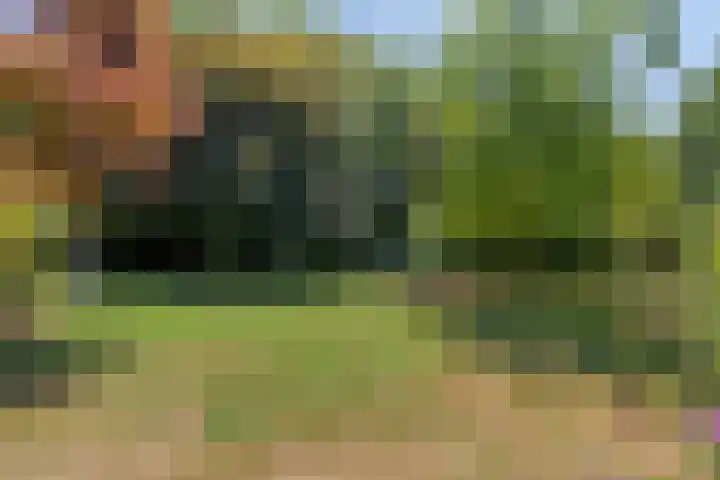 Kamerlingh Onnesstraat 9 Terneuzen thumbnail 6