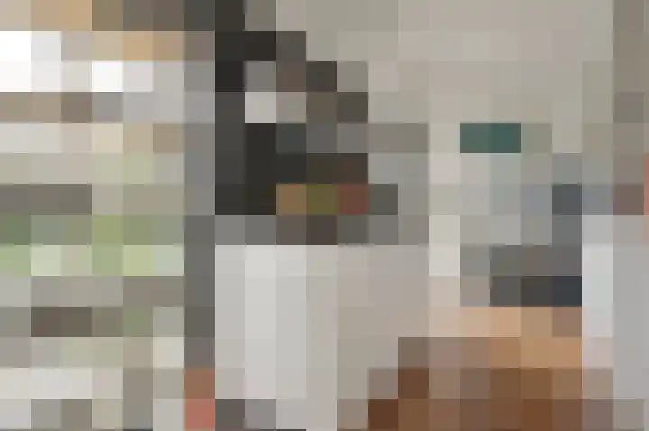 Kamerlingh Onnesweg 103 Hilversum thumbnail 11