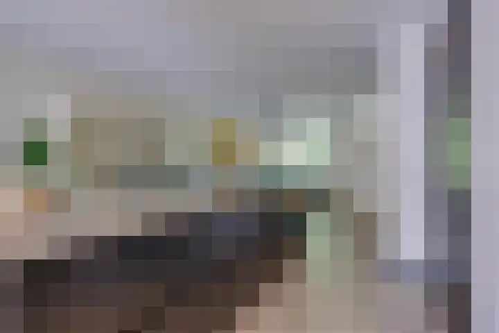 Kamerlingh Onnesweg 114 Kudelstaart thumbnail 15