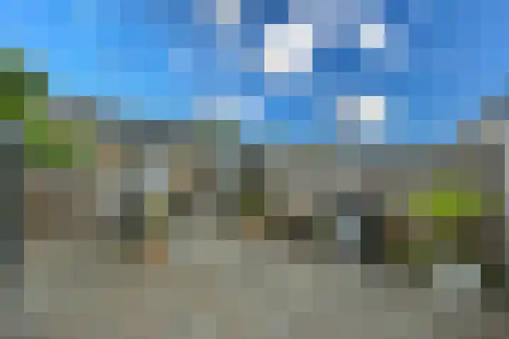 Kamerlingh Onnesweg 114 Kudelstaart thumbnail 22