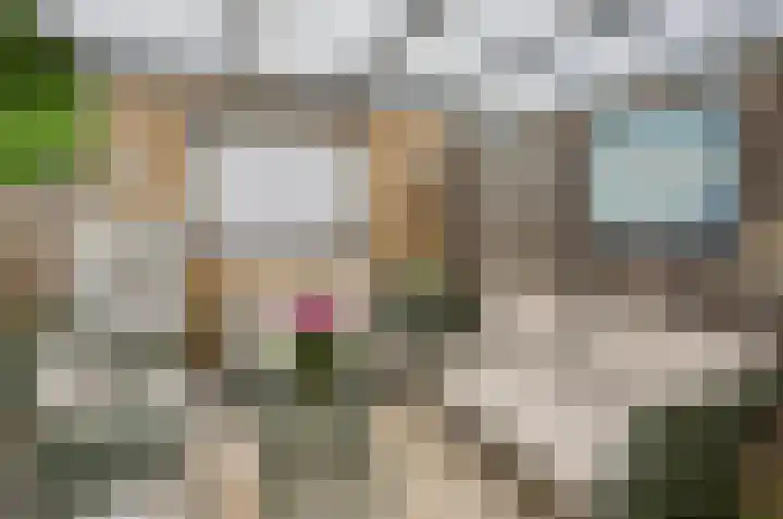 Kamerlingh Onnesweg 114 Kudelstaart thumbnail 23