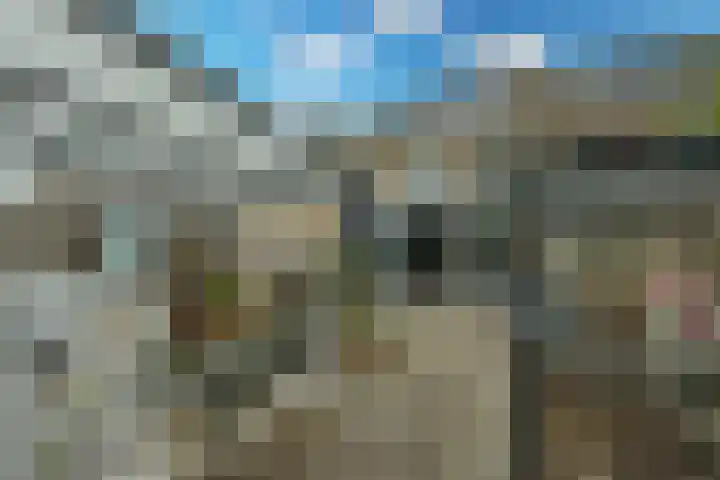 Kamerlingh Onnesweg 114 Kudelstaart thumbnail 24