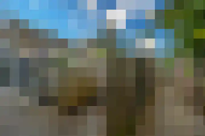 Kamerlingh Onnesweg 114 Kudelstaart thumbnail 26