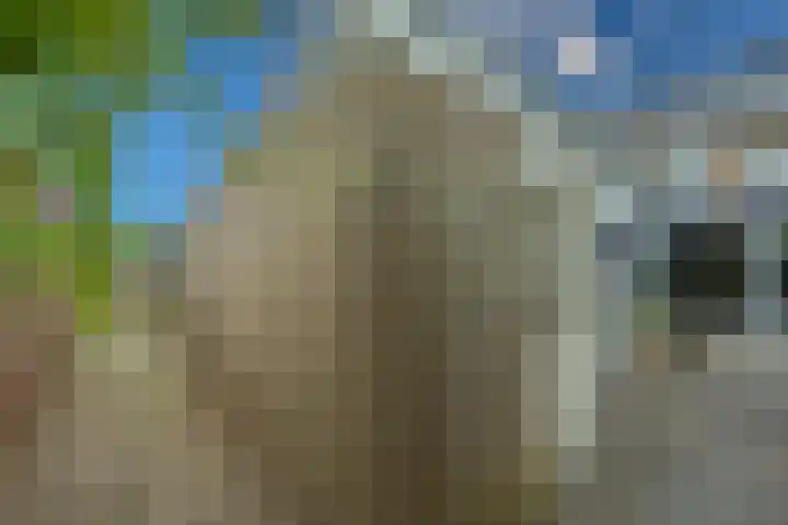 Kamerlingh Onnesweg 114 Kudelstaart thumbnail 27