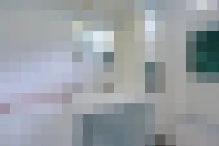 Kamerlingh Onnesweg 114 Kudelstaart thumbnail 30